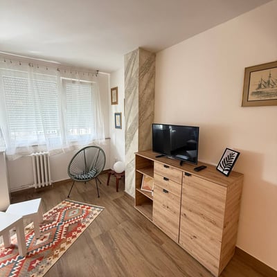 Аренда уютной 2-комнатной квартиры 46 м² в районе Врачар, Белград, Сербия